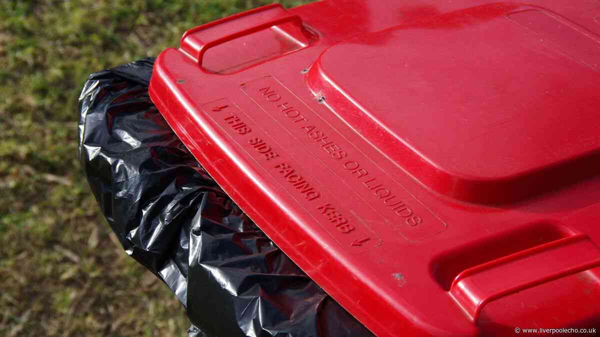 Repel flies and maggots from bins by applying 35p kitchen staple to lids