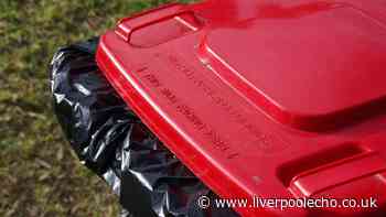 Repel flies and maggots from bins by applying 35p kitchen staple to lids