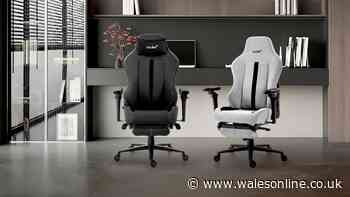 Review: Relax, work and play with the Master Rex 2026 gaming chair