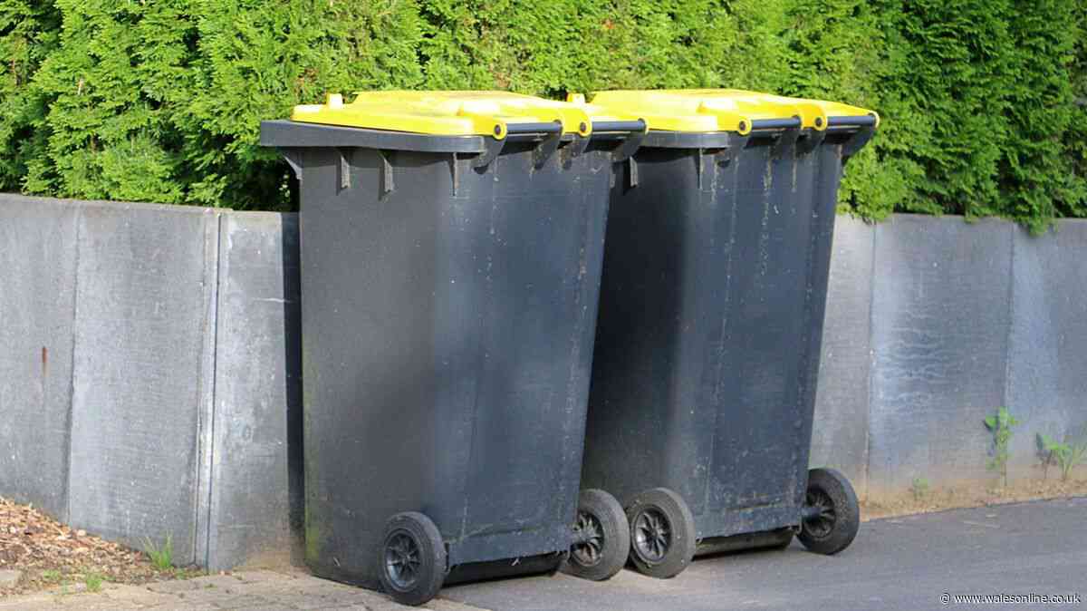 Keep flies and maggots out of bins with 35p kitchen staple applied to lids and rims