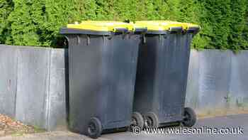 Keep flies and maggots out of bins with 35p kitchen staple applied to lids and rims