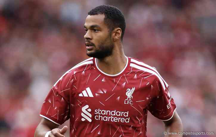 Man City Open Talks With Liverpool Over Gakpo