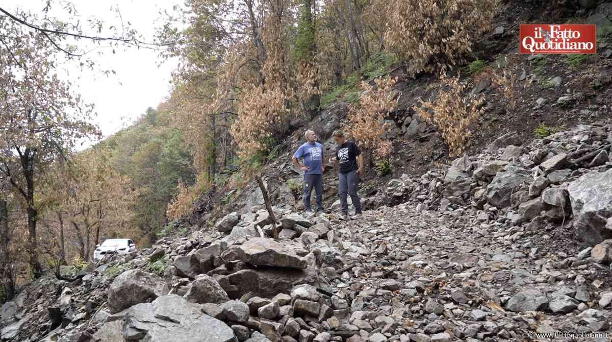 Cosa resta dopo gli incendi? Terreni più impermeabili, detriti e rischio di frane. Viaggio nel parco nazionale della Val Grande colpito dai roghi: “Ora i boschi vanno gestiti diversamente, servono più risorse”