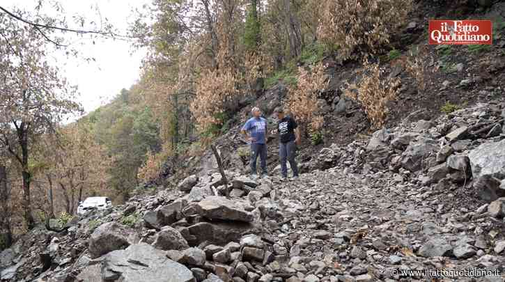 Cosa resta dopo gli incendi? Terreni più impermeabili, detriti e rischio di frane. Viaggio nel parco nazionale della Val Grande colpito dai roghi: “Ora i boschi vanno gestiti diversamente, servono più risorse”