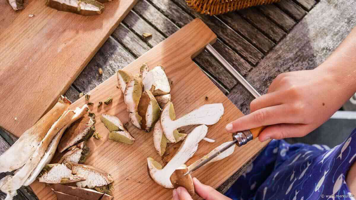 Steinpilze putzen: Mit diesen drei Tipps landen nur saubere Pilze in der Pfanne