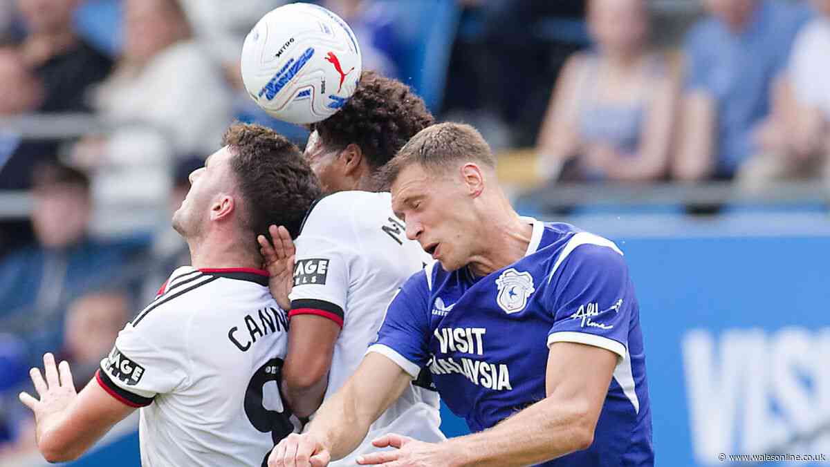 Krystian Bielik ends debate over position as he's floored by 'scary' Cardiff City players
