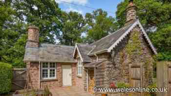 'Cosy' Brecon cottage with tennis court and a 'great enclosed garden for dogs'