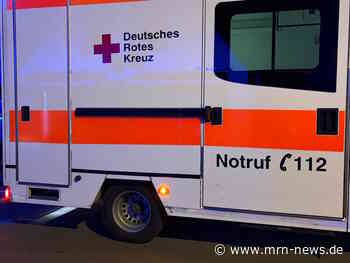 Mannheim – Streit eskaliert in den T-Quadraten – zwei Männer verletzt