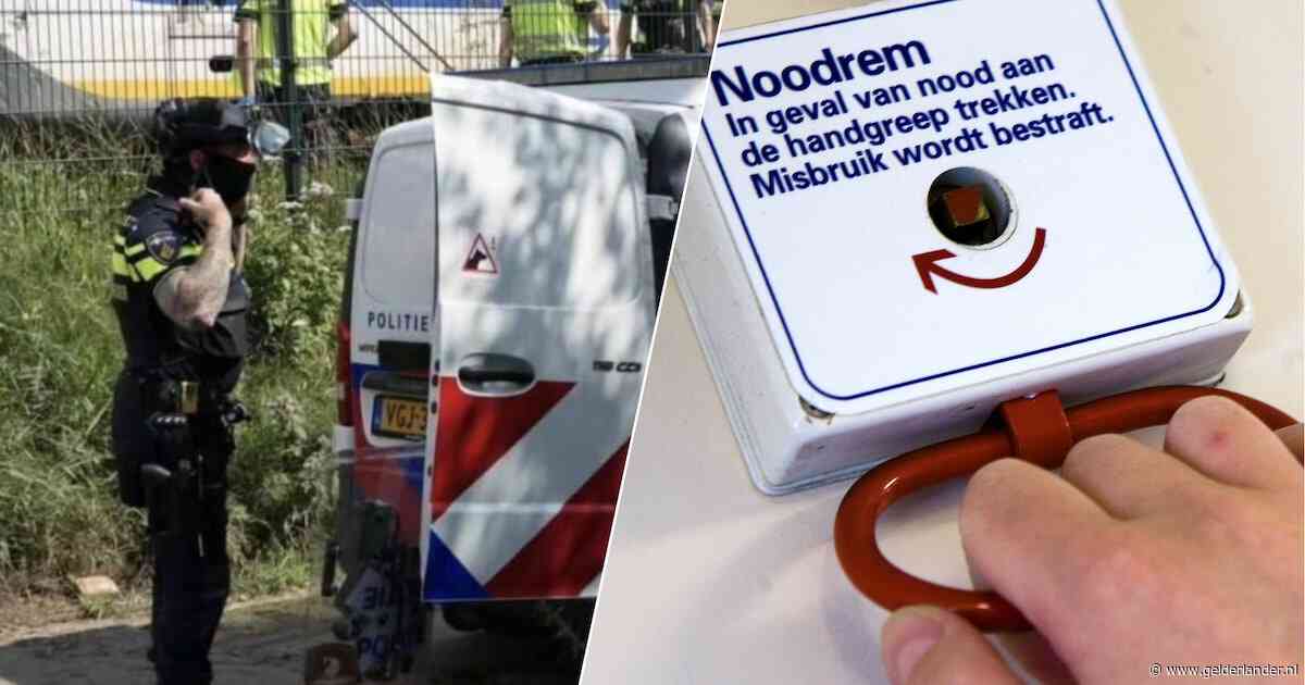 Reiziger trekt in bomvolle trein aan noodrem als vechtpartij escaleert: ‘Heftig om mee te maken’