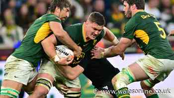 Springboks v New Zealand reaction as Erasmus accused and 'apocalyptic zombies' step up