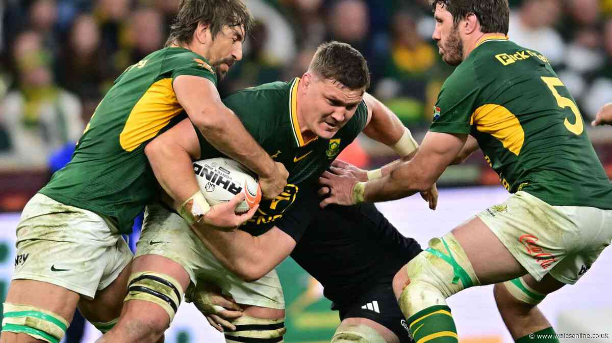 Springboks v New Zealand reaction as Erasmus accused and 'apocalyptic zombies' step up
