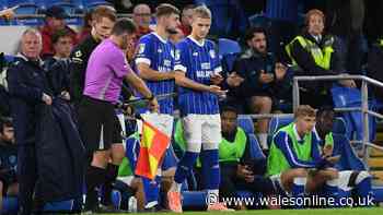 Arsenal strike Cardiff City transfer deal as announcement made
