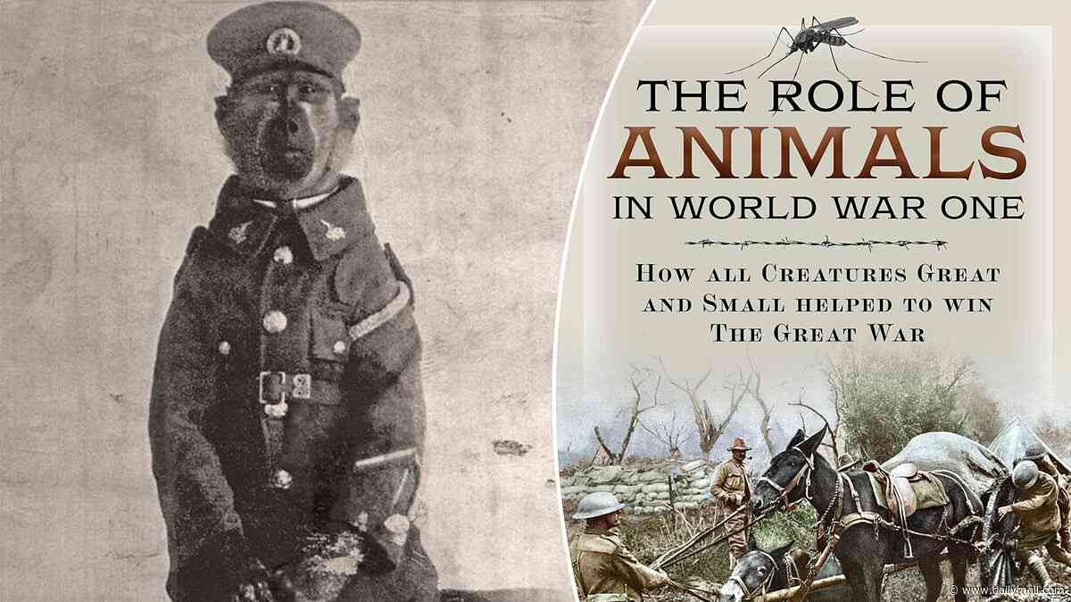 A baboon who excelled at sentry duty, dogs targeted by snipers and the silent, deadly killers on the Balkan Front - there was no monkeying around for the animals caught up in WWI