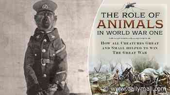 A baboon who excelled at sentry duty, dogs targeted by snipers and the silent, deadly killers on the Balkan Front - there was no monkeying around for the animals caught up in WWI