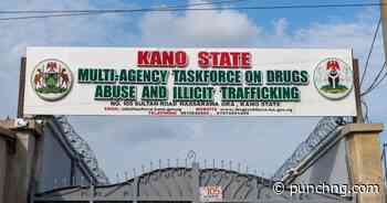 Kano to rehabilitate 10,000 drug users in one year