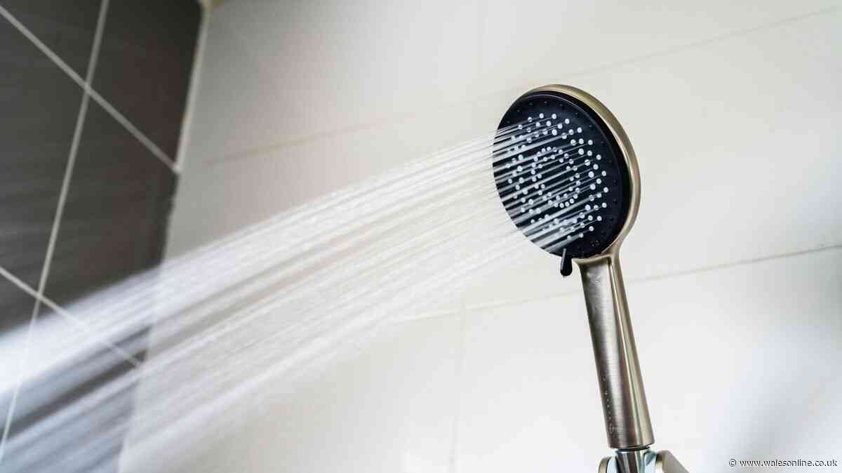 I've never seen mould in my bathroom thanks to 1 simple job I do every day