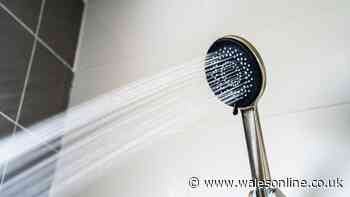 I've never seen mould in my bathroom thanks to 1 simple job I do every day