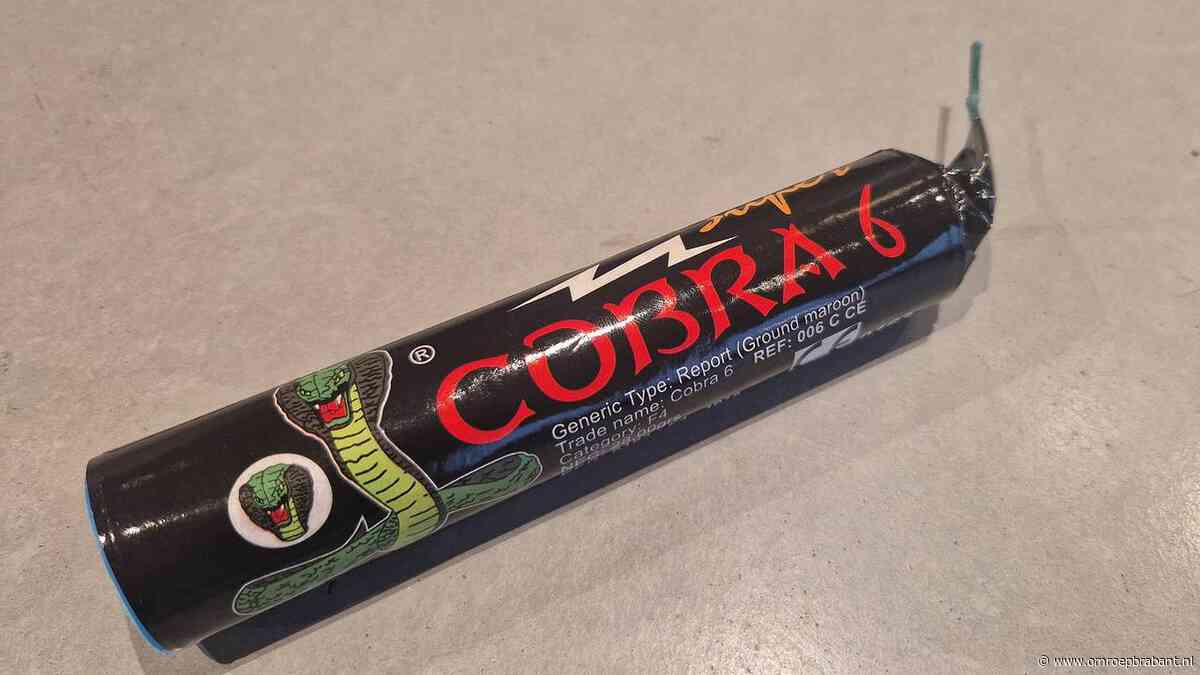 Jongen (15) verliest wijsvinger in Gemert als cobra ontploft in zijn hand