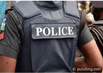 Police kill two kidnappers, rescue truck driver in Ogun