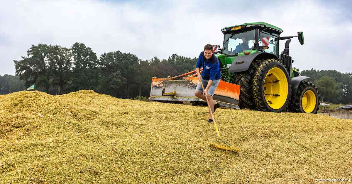 Wachten kan niet langer: boeren halen de mais dit jaar in korte broek van het land