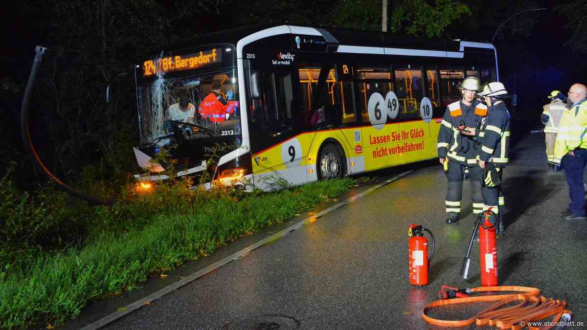 VHH-Bus landet im Graben – Notarzt begleitet Fahrer in Klinik