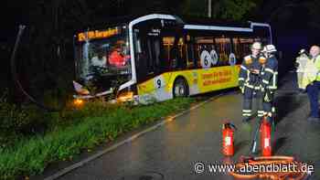 VHH-Bus landet im Graben – Notarzt begleitet Fahrer in Klinik