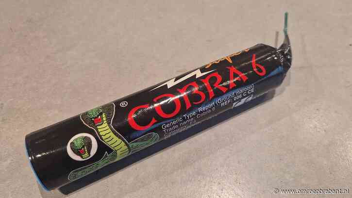 Cobra ontploft in hand van jongen (15) in Gemert, hij is wijsvinger kwijt