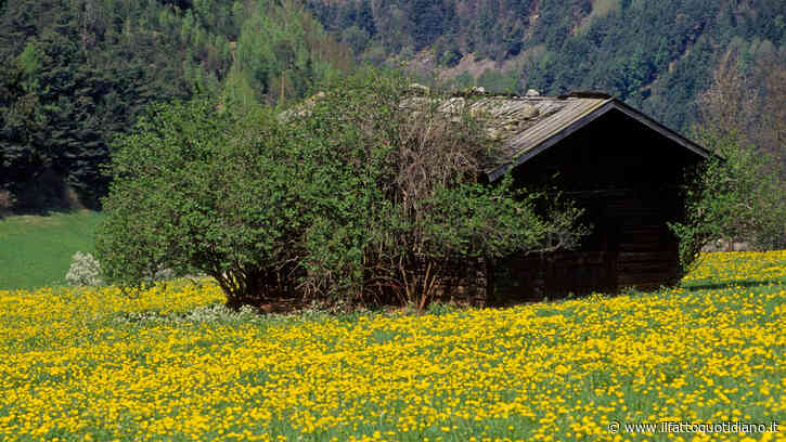 Piemonte, pastori intossicati dal monossido di carbonio in un baita di montagna: un morto e 5 ricoverati