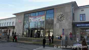 British woman, 31, is stabbed to death at German railway station as police arrest man