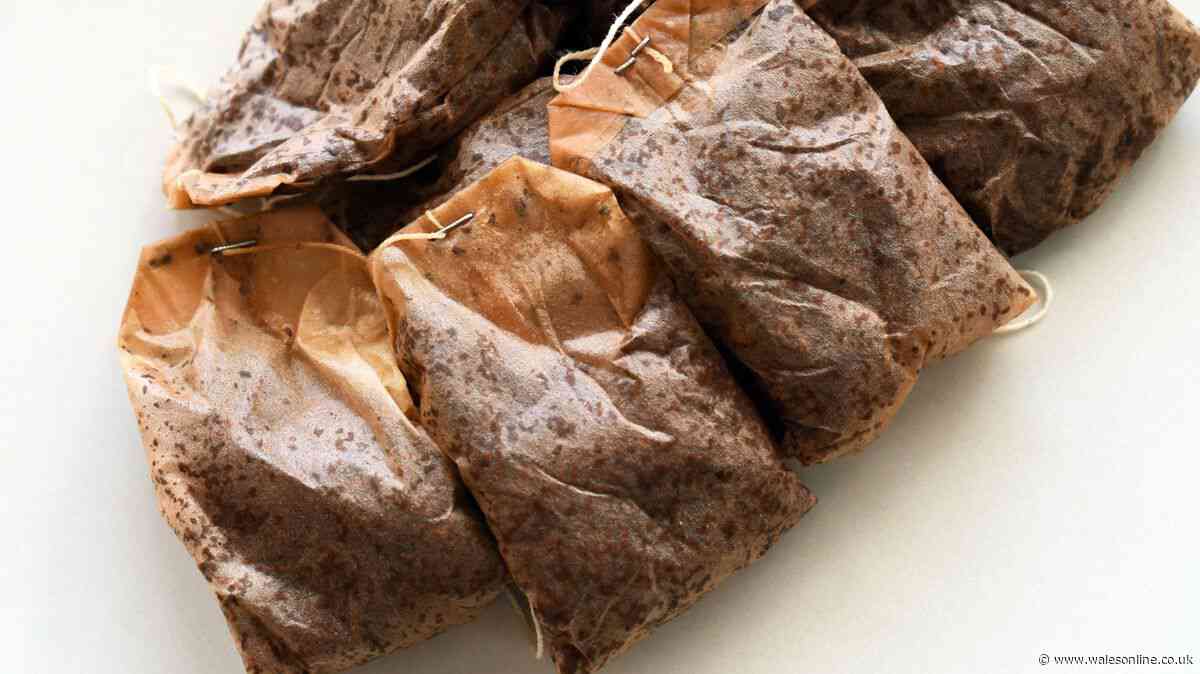 UK homeowners told not to put used tea bags in the bin next week