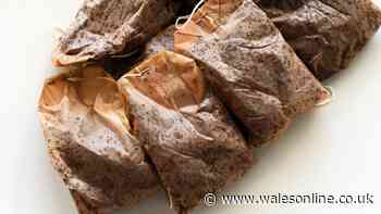 UK homeowners told not to put used tea bags in the bin next week