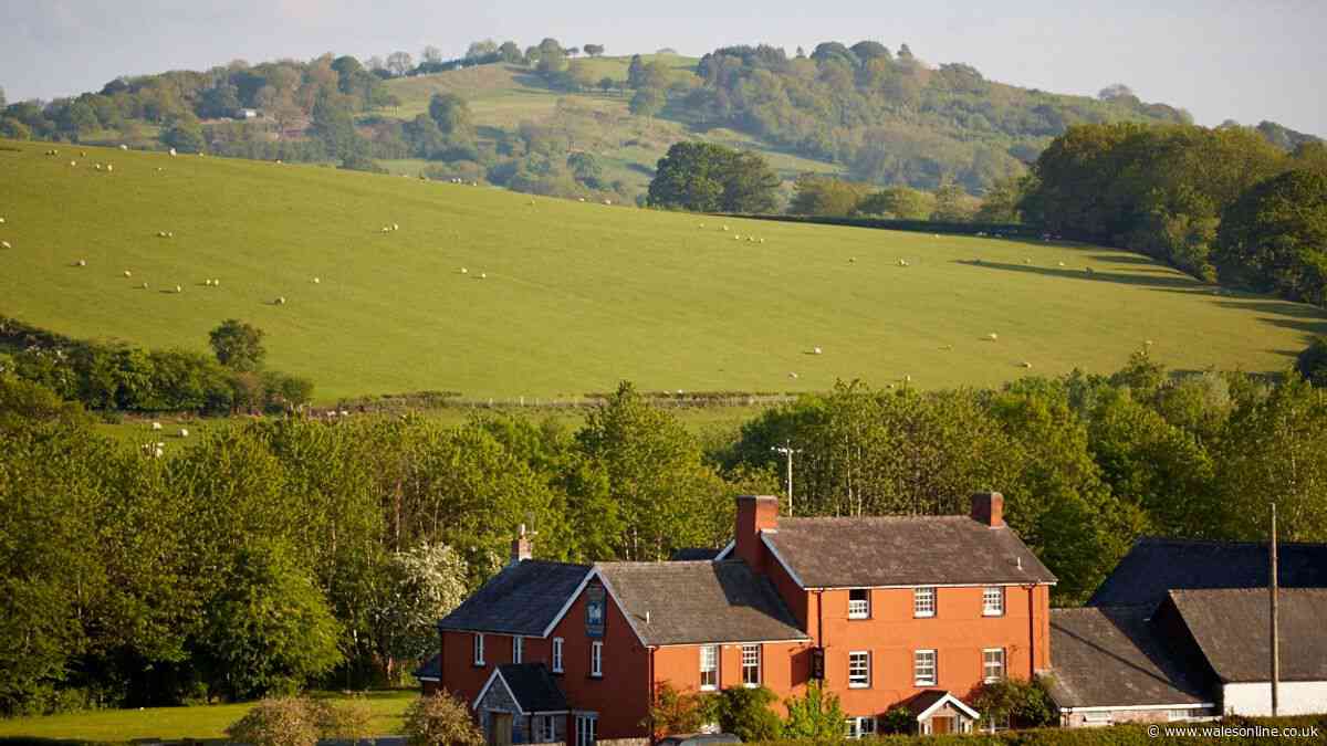 I found one of Britain's best pubs in the Welsh hills and it was even better than I expected