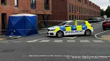 Police arrest two people on suspicion of murder after man falls to his death from balcony