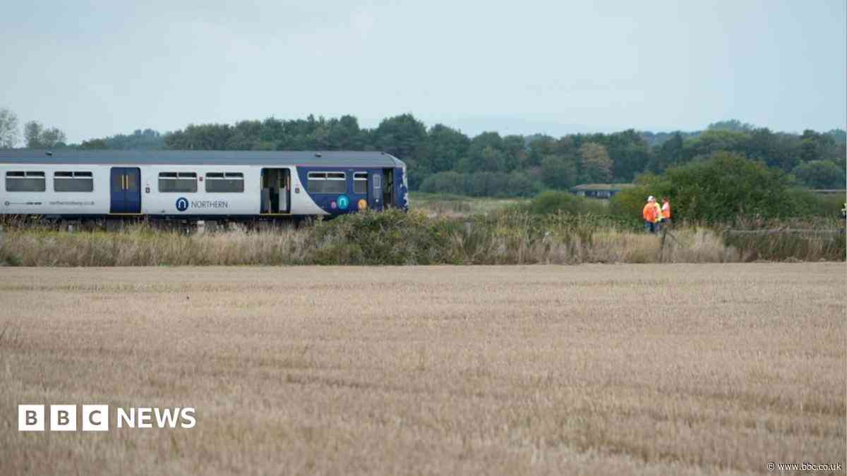 Mum says family 'lucky to be alive' after train crash