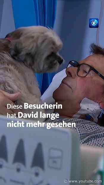 Diese Besucherin hat David lange nicht mehr gesehen #krankenhaus #haustier #nachrichten #tagesschau