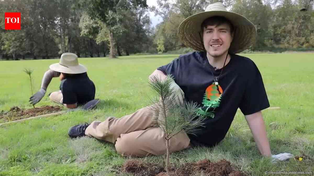 In 2019, a YouTuber was challenged to plant millions of trees, today his campaign has planted 25 million worldwide