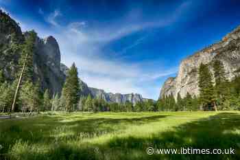 Leaked Files Expose Plan To 'Sell Away' Yosemite Park Parcel for Highest-Bidding Luxury Resort Construction