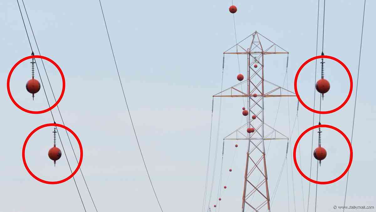 Reason for mysterious orange and white balls seen floating on power lines across America revealed by expert
