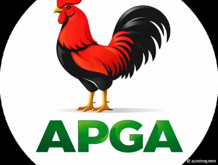 APGA wins all 21 chairmanship, councillorship seats in Anambra LG poll