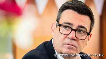 Andy Burnham vows to 'put cowboy builders out of business'