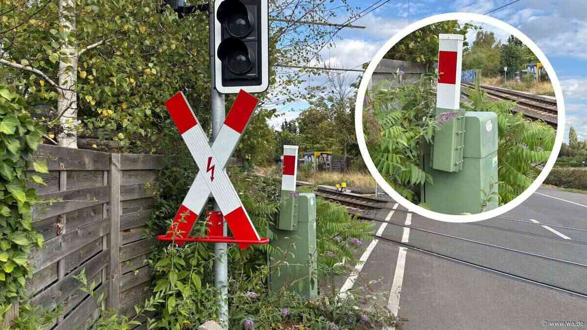 Ganz unscheinbar: Die kleinste Bahnschranke Deutschlands steht in NRW