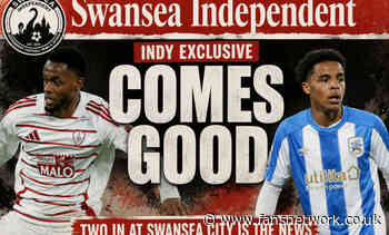 Swansea City : Two more in, Matos loves a permanent signing !