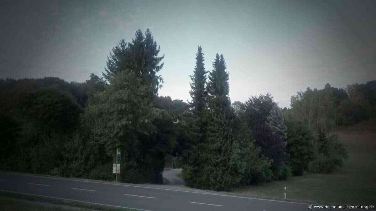 Witwe und Enkel (15) brutal erschlagen: Leiche im Stroh versteckt