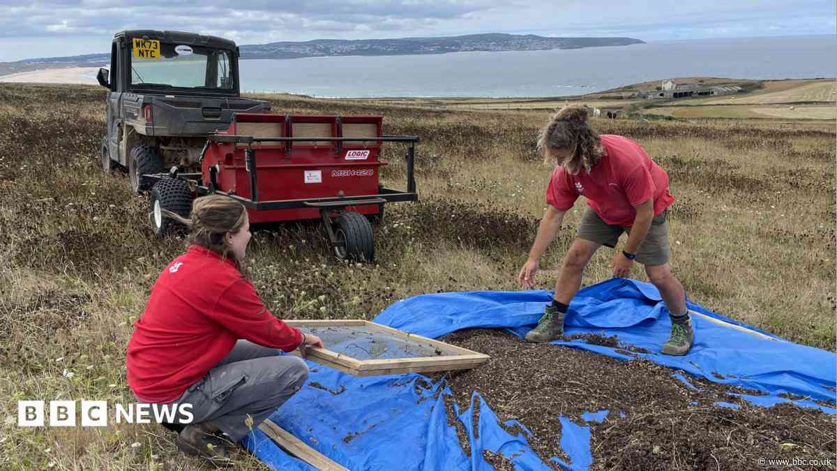 Meet some of Cornwall's environmental champions