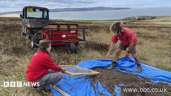 Meet some of Cornwall's environmental champions