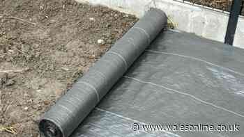 Don't use weed control fabric - easier method is cheaper and lasts longer