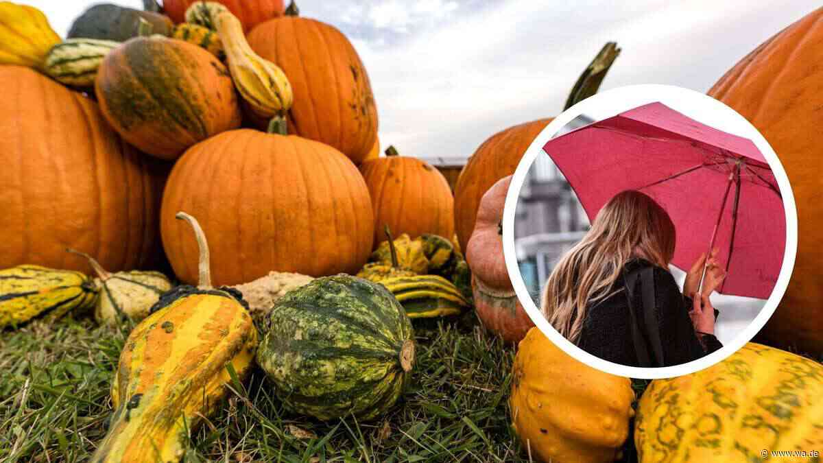 Wie man sich den Herbst vorstellt: Jetzt sagt der Sommer wirklich Tschüss