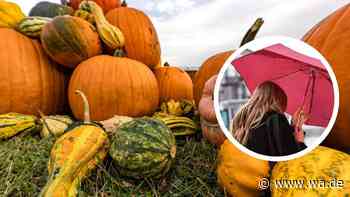 Wie man sich den Herbst vorstellt: Jetzt sagt der Sommer wirklich Tschüss