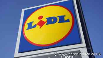 Newcastle burglar broke into Lidl and used a wheelie bin to make-off with £800 of stock