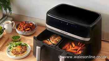 Extra-large air fryer big enough for family and 'no need to preheat' slashed to £99